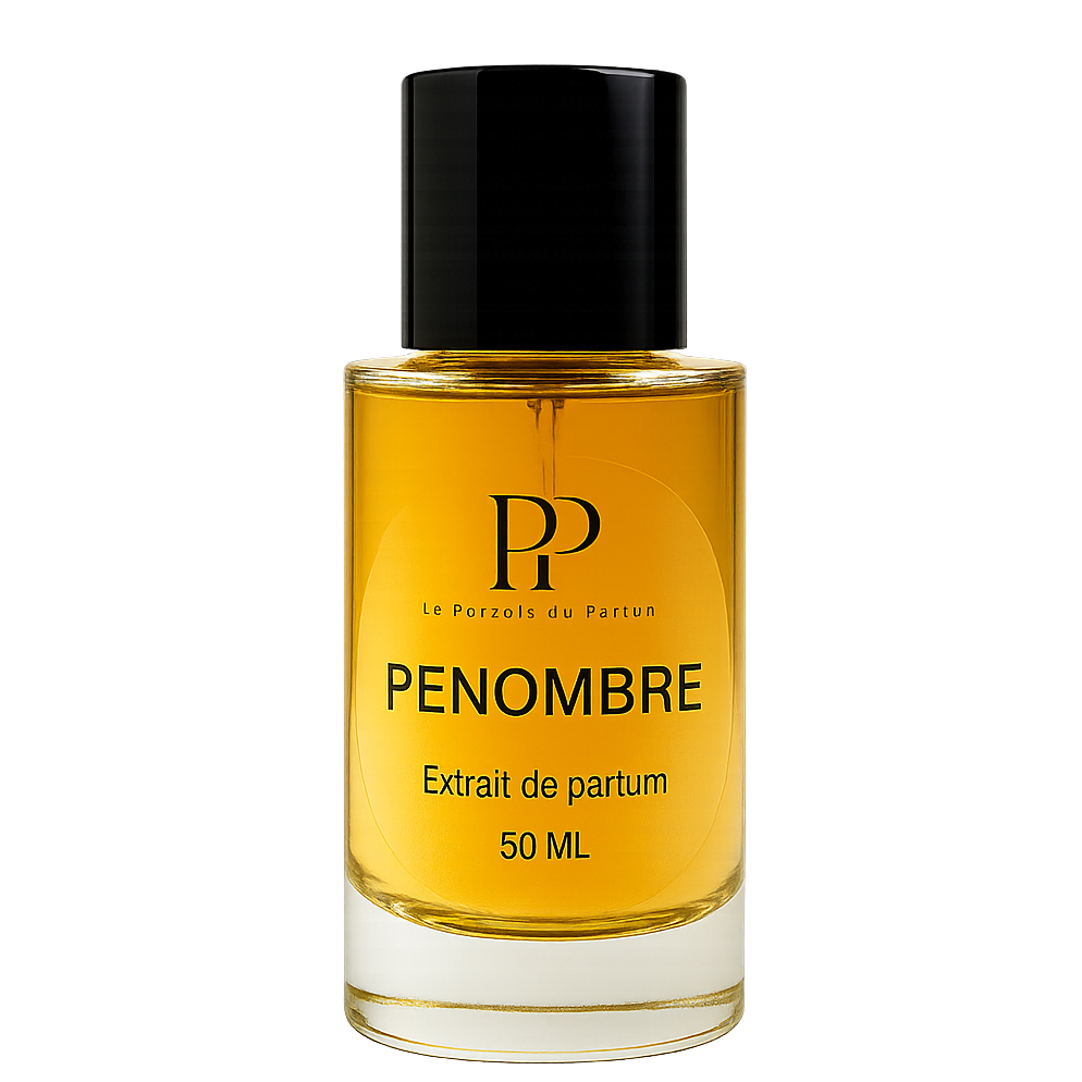 Extrait de Parfum Pénombre | INSPIRATION LA NUIT DE L'HOMME